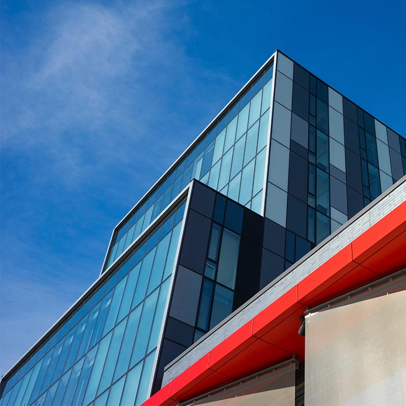 Xpel VISION Specialty Window Film